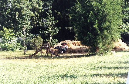 Colonial Williamsburg, 2000